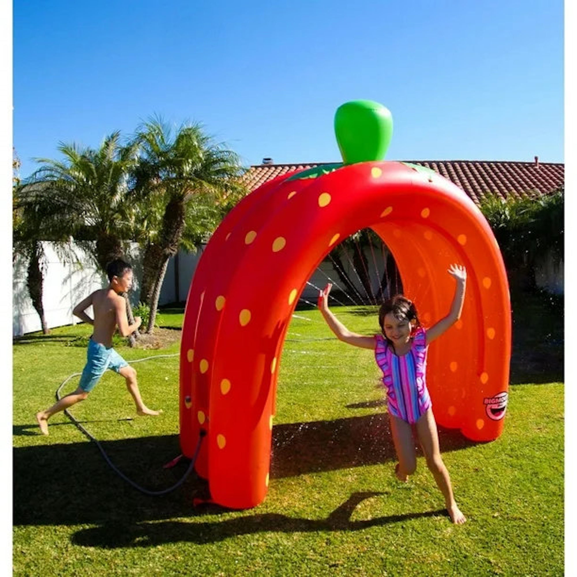 BigMouth Strawberry Tunnel Sprinkler-3 Arch