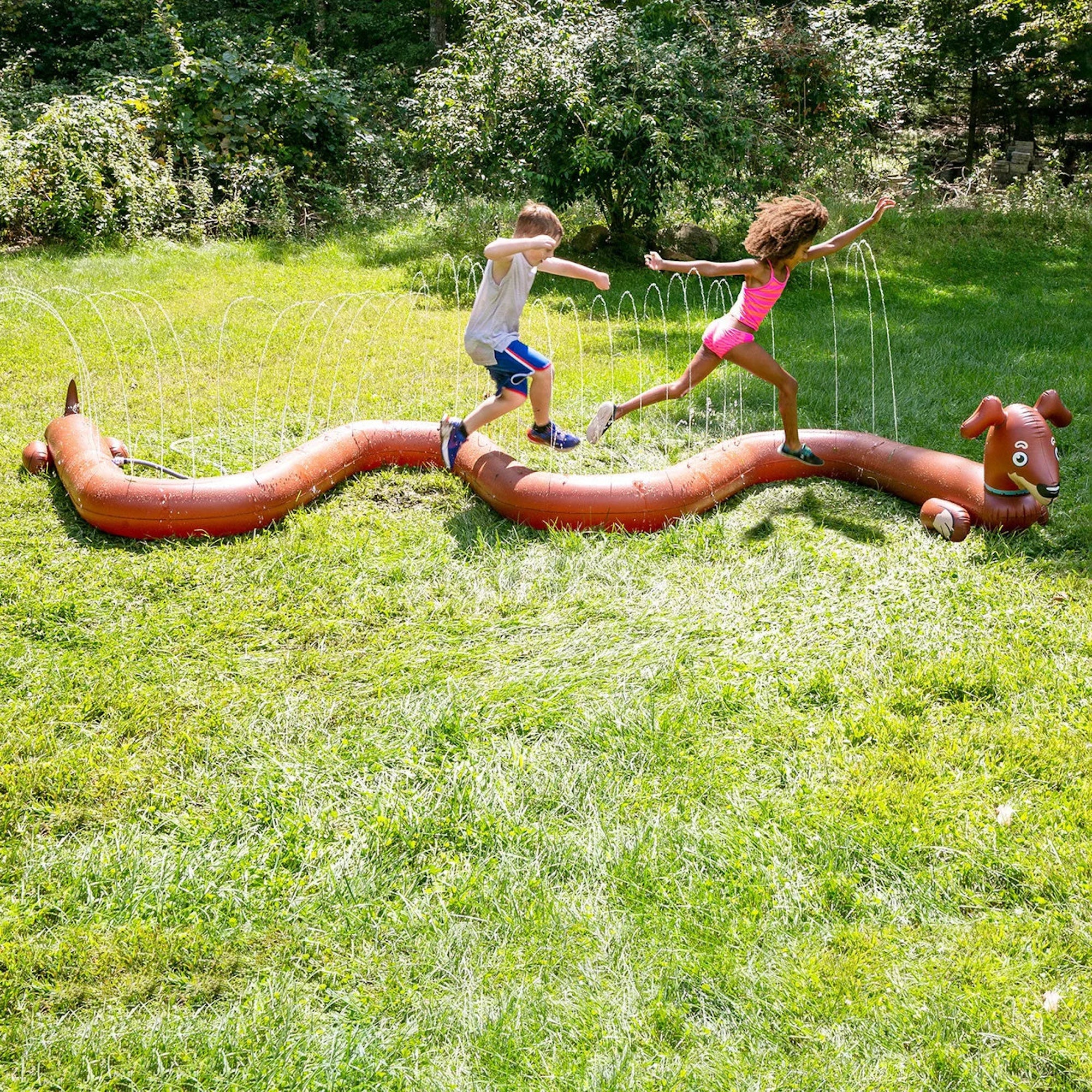 BigMouth Long Dog Sprinkler