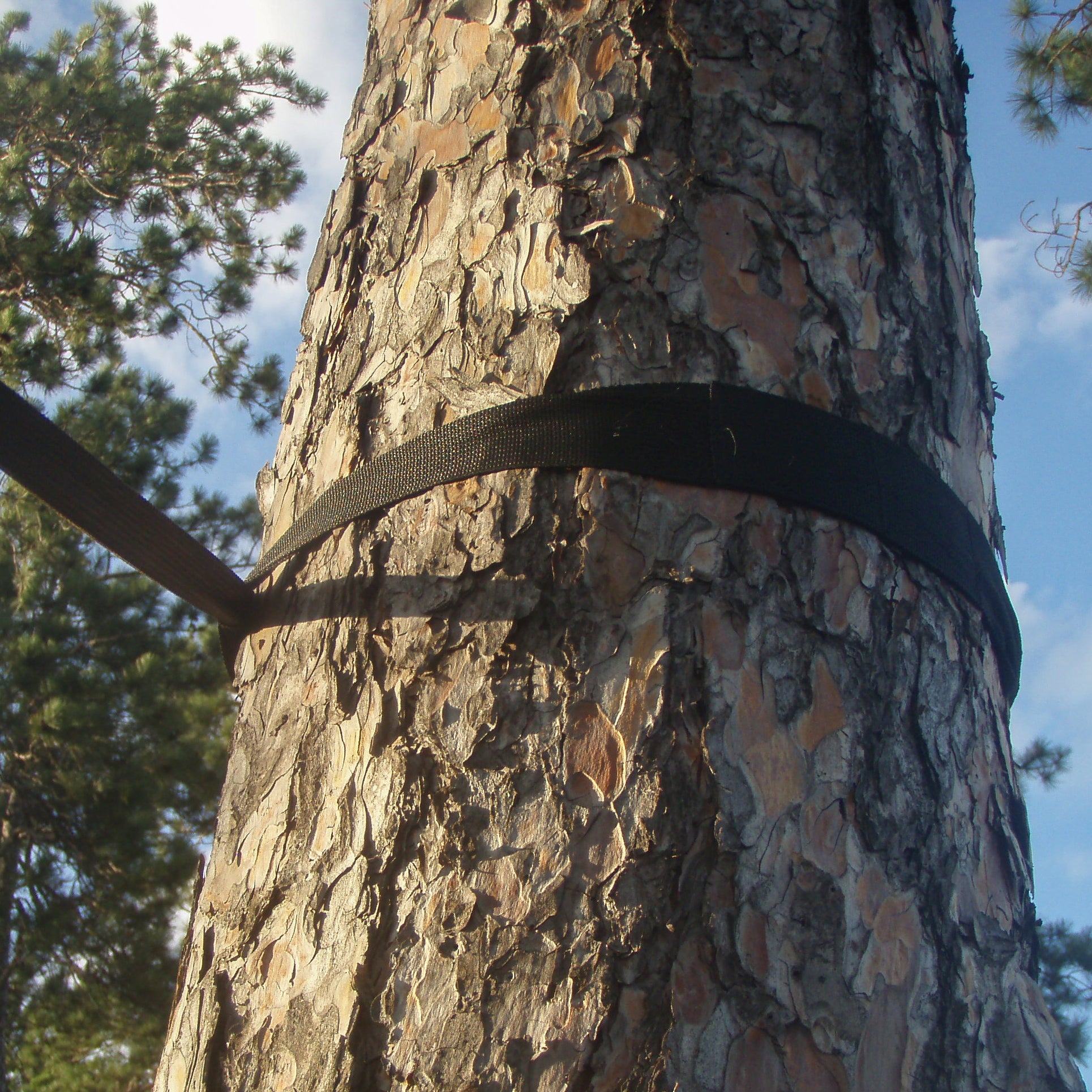 Red Tree Strap Eco-Friendly Tree Straps - 2 Pack – Vivere Canada