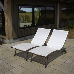 Clearwater 6 Position Aluminum Lounger 2 pc Set